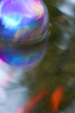 Fish and Float - Vicki Dodge