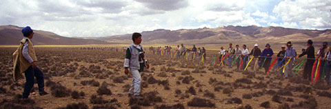 Vicuña Chaccu - Human Chain - Mark Dodge