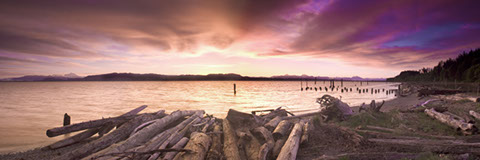 Waiting for the Sun II - Mark Dodge